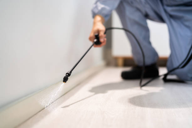 Licensed Rodent Control service in Thatcher, AZ - Nex Pest Control