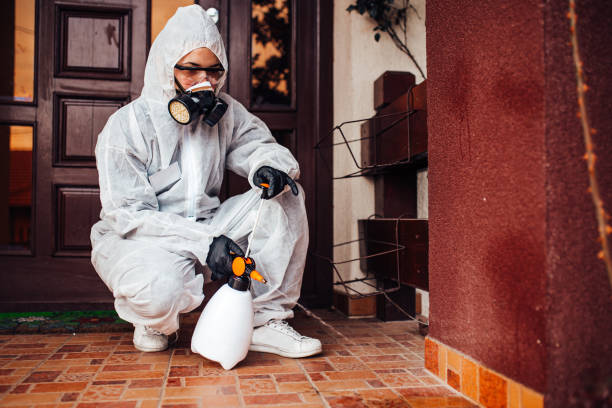Reliable Rodent Control contractor in Thatcher, AZ by Nex Pest Control