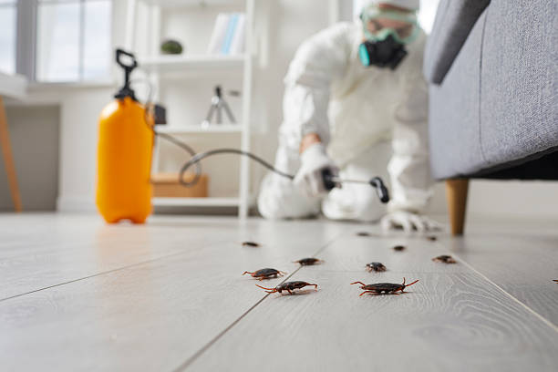 Trusted Rodent Control service in Thatcher, AZ - Nex Pest Control